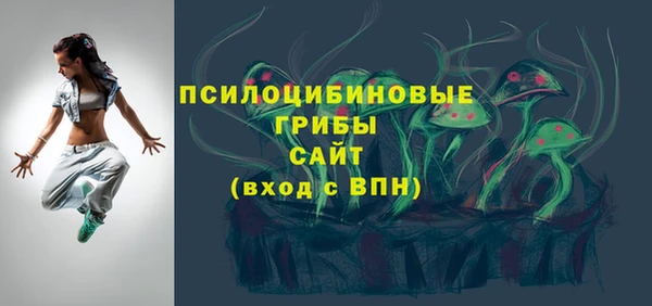 спайс Инсар