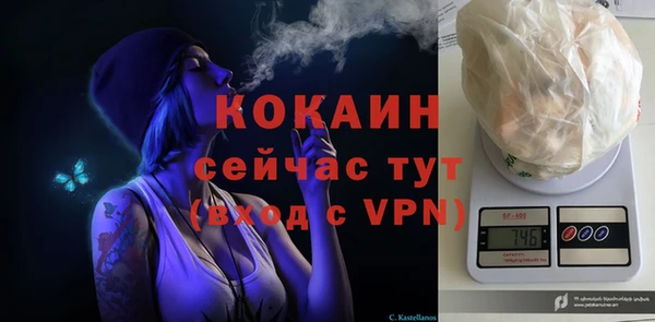 гидра Зеленодольск