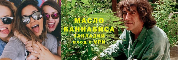 гидра Зеленодольск