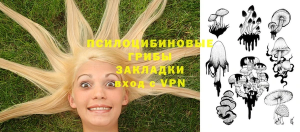 гидра Зеленодольск