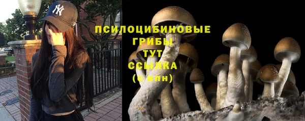 экстази Зеленокумск
